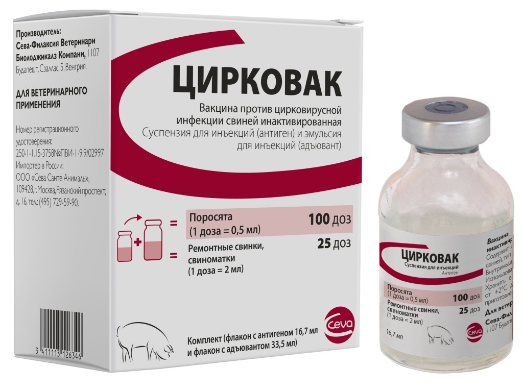 Цирковак против цирковирусной инфекции свиней