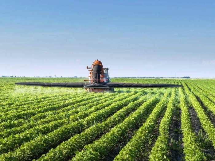 Молекулярные механизмы и потенциал улучшения сельскохозяйственных культур РНК N 6 -метиладенозина в растениях